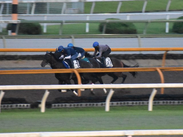 ヴァンドギャルド 毎日王冠追い切り速報 栗東トレセンニュース 競馬ニュース Netkeiba Com