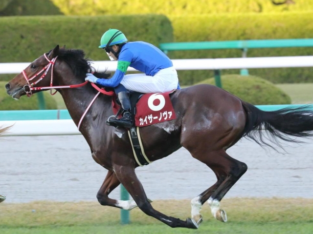 休養でフォーム改善　カイザーノヴァ鉄砲駆けへ/馬三郎のつぶやき