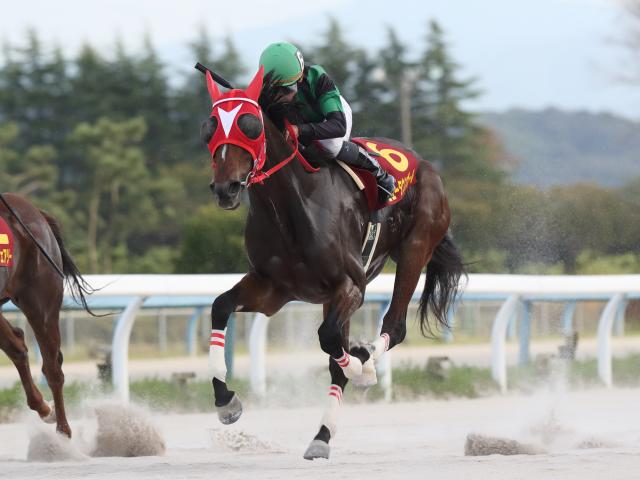 金沢 お松の方賞結果 ニュータウンガールが抜け出して重賞7勝目 競馬ニュース Netkeiba Com