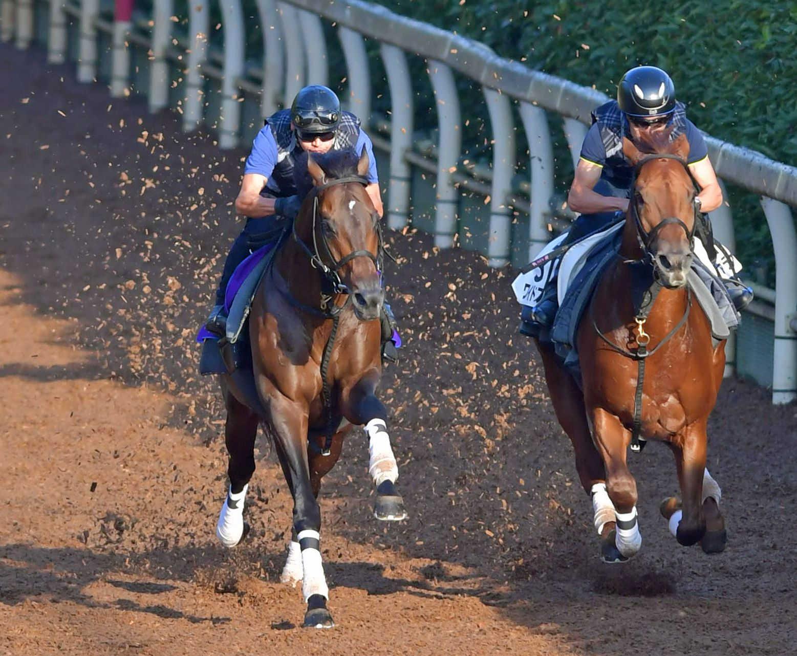 　衰えを感じさせないキセキ（左）＝撮影・石湯恒介