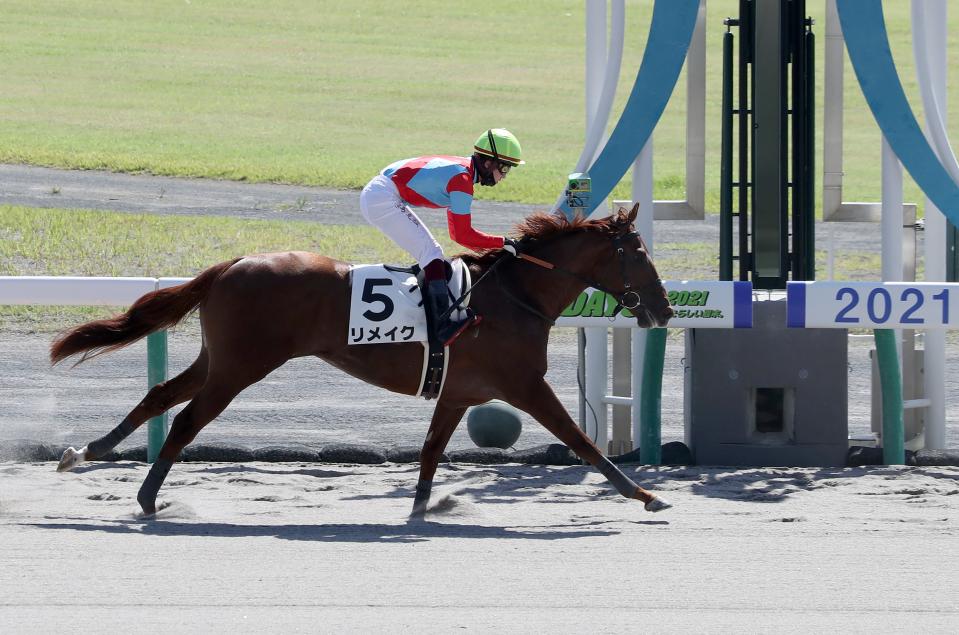 ｐｏｇ 新潟２歳ｓ３着馬オタルエバーが帰厩 次走は１１月の自己条件 栗東発 競馬ニュース Netkeiba Com