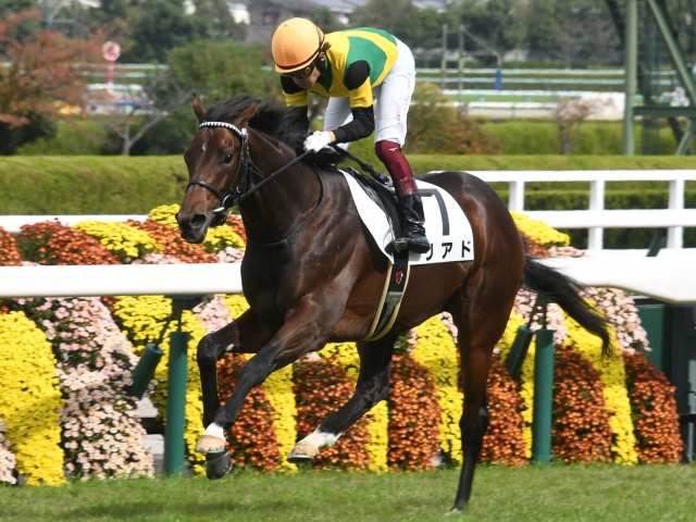 当事者たちの残した名言 競馬コラム Netkeiba Com