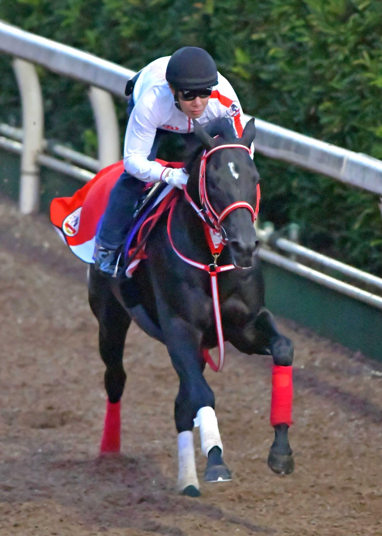 当事者たちの残した名言 競馬コラム Netkeiba Com