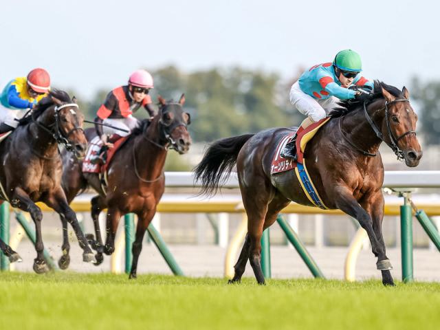 アルゼンチン共和国杯レース後コメント オーソリティ C ルメール騎手ら 競馬ニュース Netkeiba Com