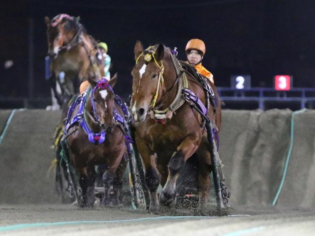 ばんえい菊花賞結果 牝馬サクラヒメが4連勝で重賞初制覇 競馬ニュース Netkeiba Com