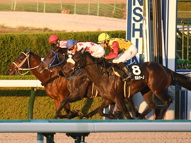 ドンカスターc 阪神 外から差し切ったランドボルケーノが3頭の接戦を制す 競馬ニュース Netkeiba Com