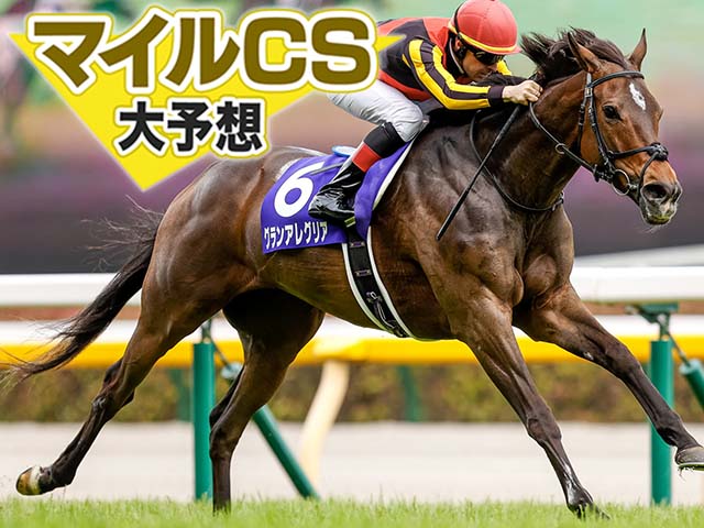 マイルcs エリ女では推奨馬が2着好走 今回の推奨馬は意外な1頭 坂上明大 とうけいば 競馬ニュース Netkeiba Com