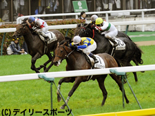 ダービー馬ロジユニヴァースが引退