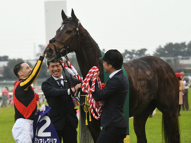 マイルcs 売上は177億3160万20円で昨年からおよそ1億円の増加 競馬ニュース Netkeiba Com