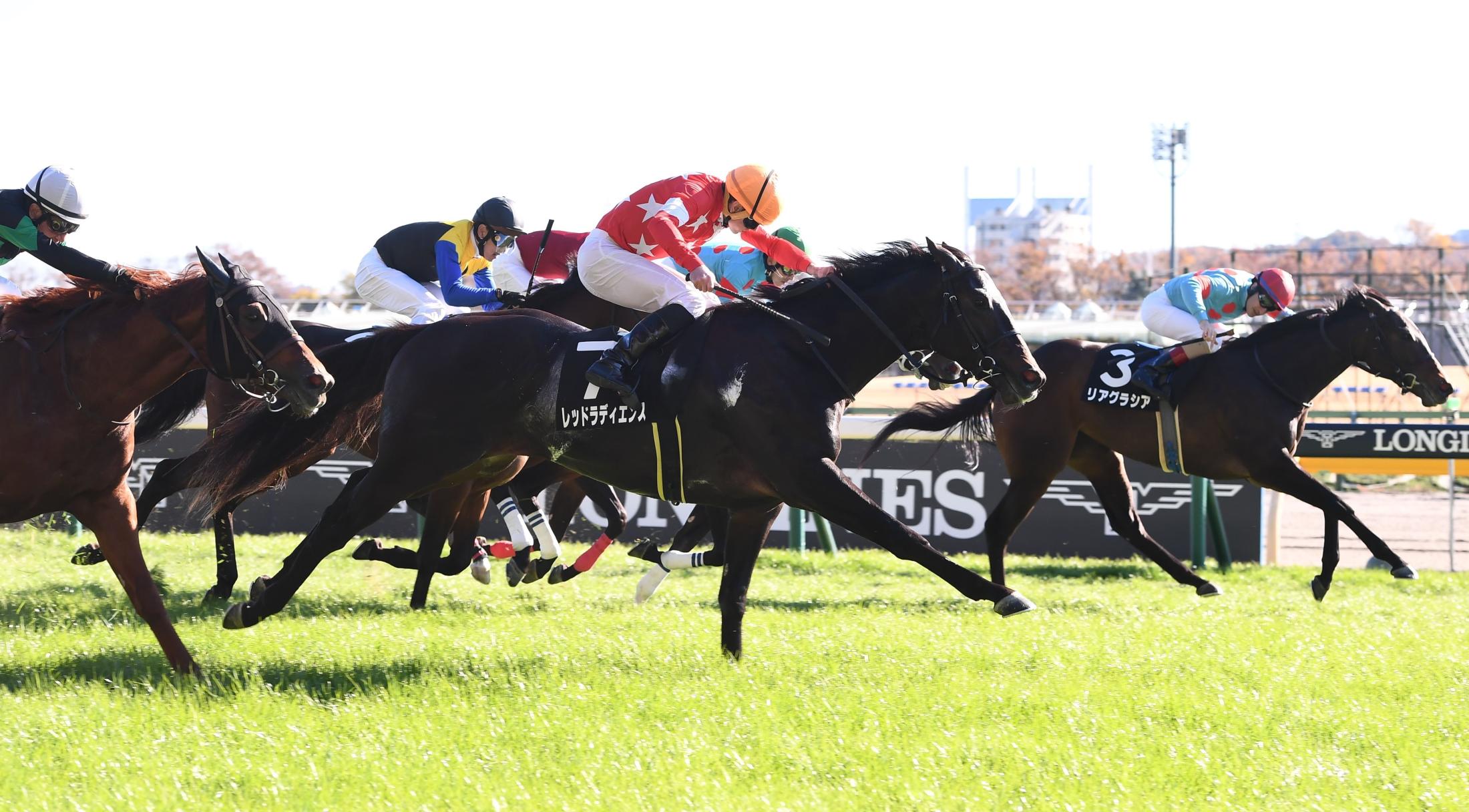 【ベゴニア賞】レッドラディエンス 外を鋭伸2勝目 藤沢和師は成長に期待 競馬ニュース netkeiba