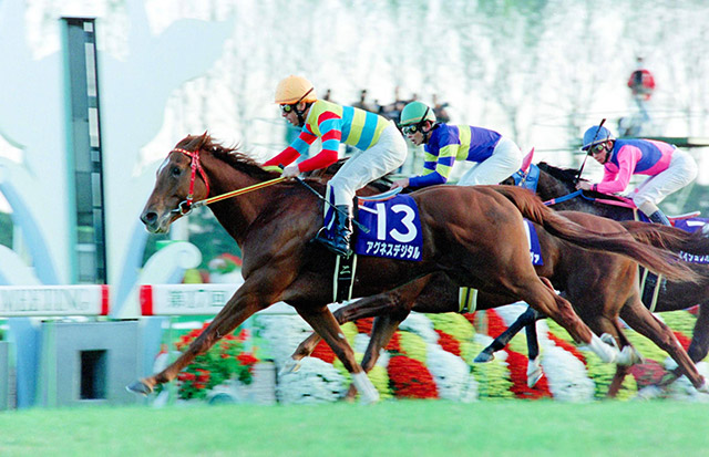 アグネスデジタル他17頭　00年 マイルCS　現地的中単勝馬券　人気薄・貴重 アグネスデジタル他17頭 00年 マイルCS 現地的中単勝馬券 人気薄