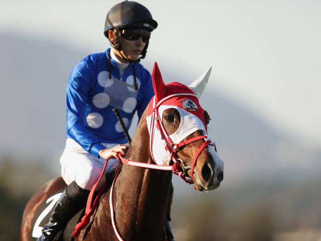 【境港特別】(阪神) タイセイモンストルが直線早目の先頭で他の馬を振り切って3勝目