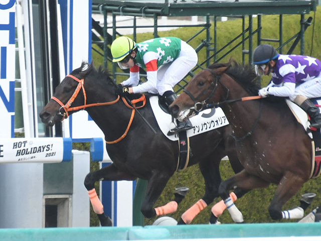 阪神4r新馬戦結果 アンノウンウォリアが早め先頭から押し切る 競馬ニュース Netkeiba Com