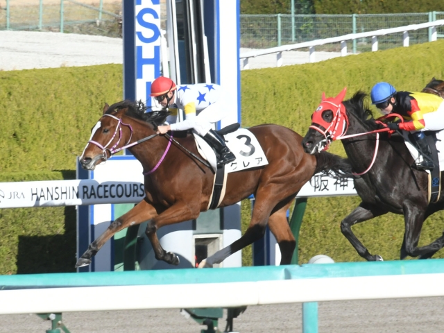 阪神6r新馬戦結果 横山典弘騎手騎乗クレアが逃げ切って初陣飾る 競馬ニュース Netkeiba Com