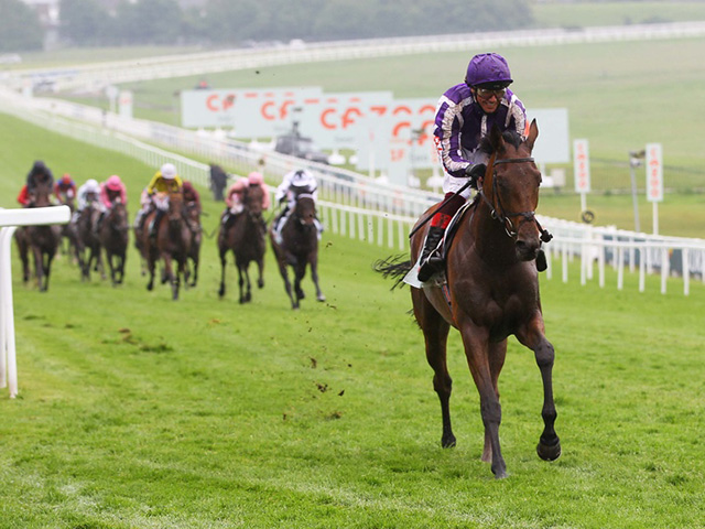 スノーフォール安楽死 昨年英オークス16馬身差圧勝のディープインパクト産駒 競馬ニュース Netkeiba Com