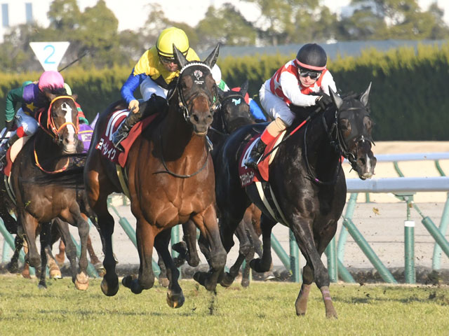 Jra Win5 本日のwin5は的中34票 配当1663万5980円 競馬ニュース Netkeiba Com