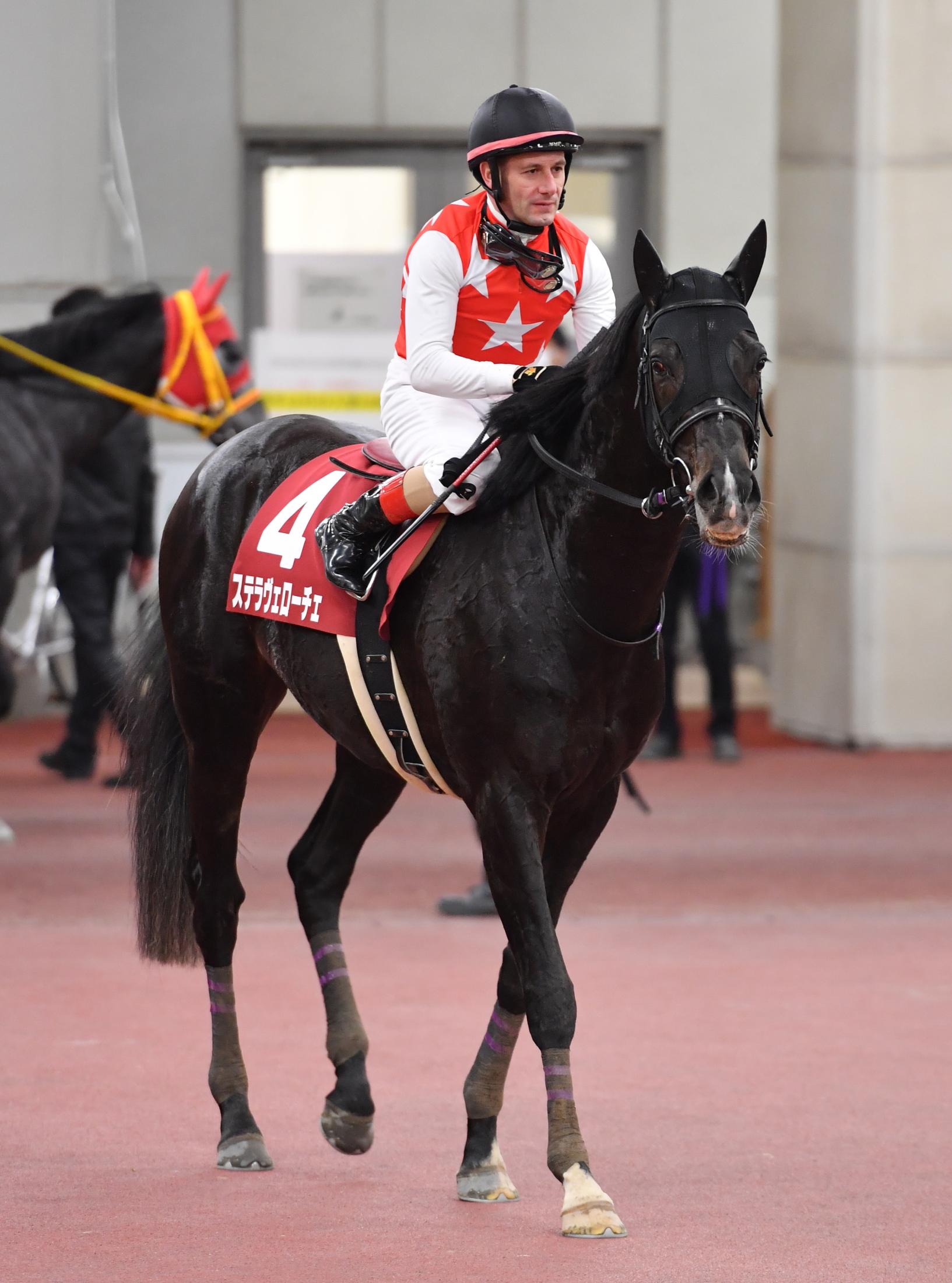 　日経新春杯で２着となったステラヴェローチェ＝中京競馬場