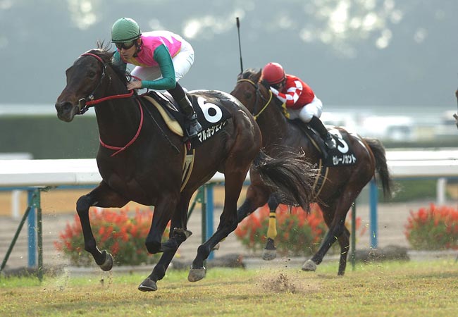 ラリックの￼カザック￼￼いななく馬￼