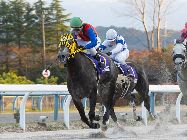 ミューチャリーがnarグランプリ21年度代表馬に 特別表彰馬にマルシュロレーヌ 競馬ニュース Netkeiba Com