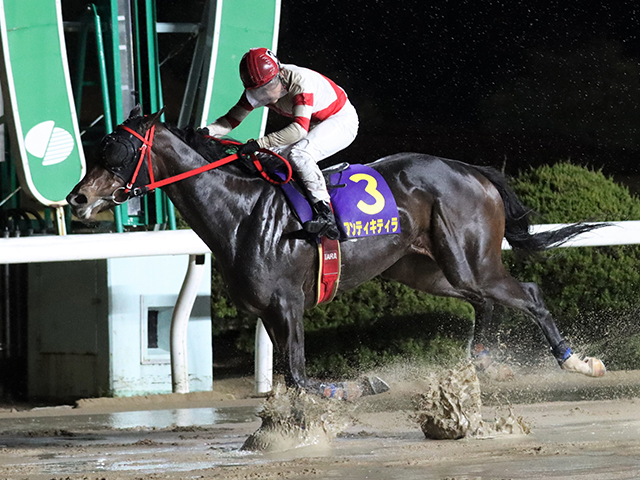 【佐賀・花吹雪賞結果】高知のアンティキティラが人気に応えて5連勝