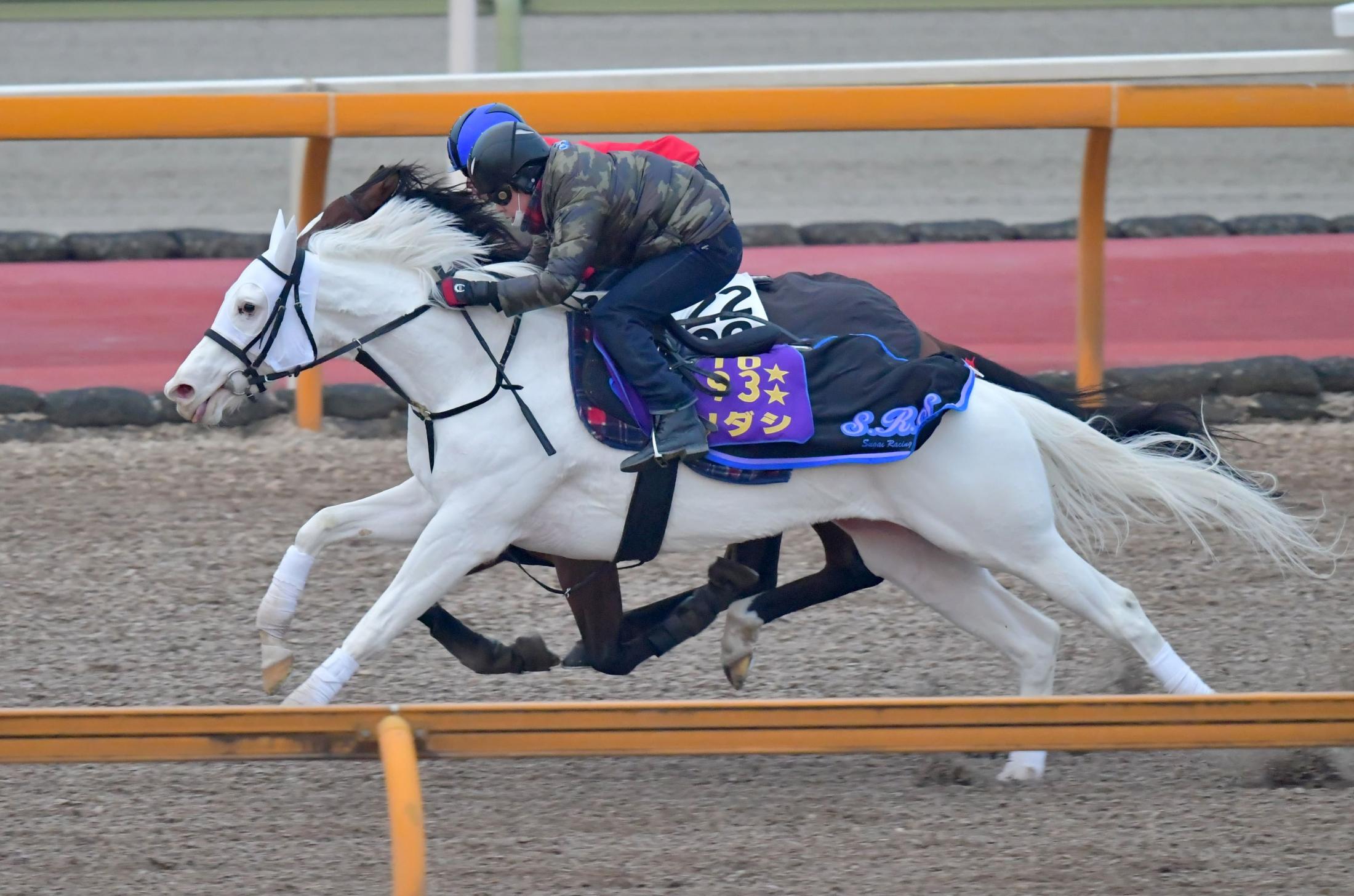 桜花賞馬ソダシがフェ…