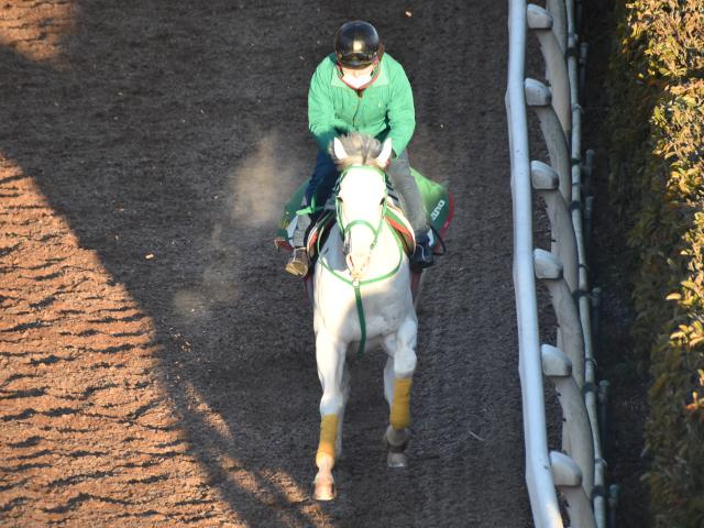 アルデバランs 確勝を期す一戦ダノンハーロック 馬三郎のつぶやき 競馬ニュース Netkeiba Com