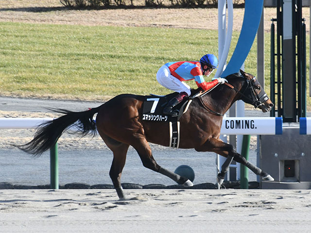 アルデバランs結果 復帰初日の福永祐一騎手がスマッシングハーツを勝利に導く 競馬ニュース Netkeiba Com