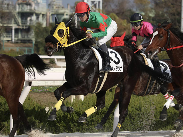 地方競馬 Youtuberヒカルの所有馬がデビュー2戦目で初勝利 競馬ニュース Netkeiba Com
