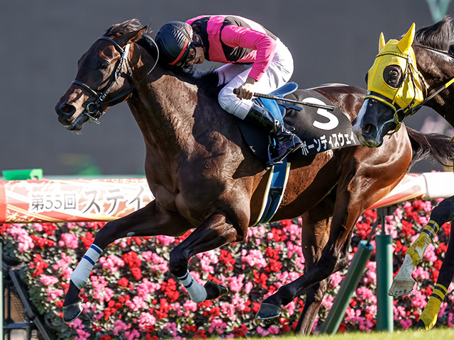 Ai予想 弥生賞 重賞連勝のaiが穴狙い 人気の盲点を突いた 妙味ある馬 とは 競馬ニュース Netkeiba Com