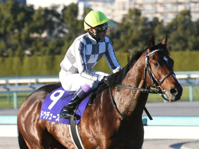 【弥生賞】ドウデュース陣営「仕上げにぬかりはないです」/ねぇさんのトレセン密着