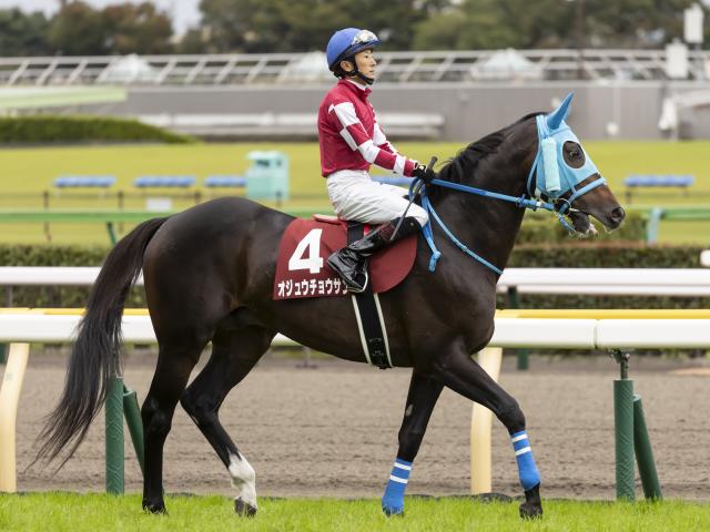 【阪神スプリングJ出走馬・騎手確定】オジュウチョウサン&石神深一騎手、タガノエスプレッソ&平沢健治騎手など11頭