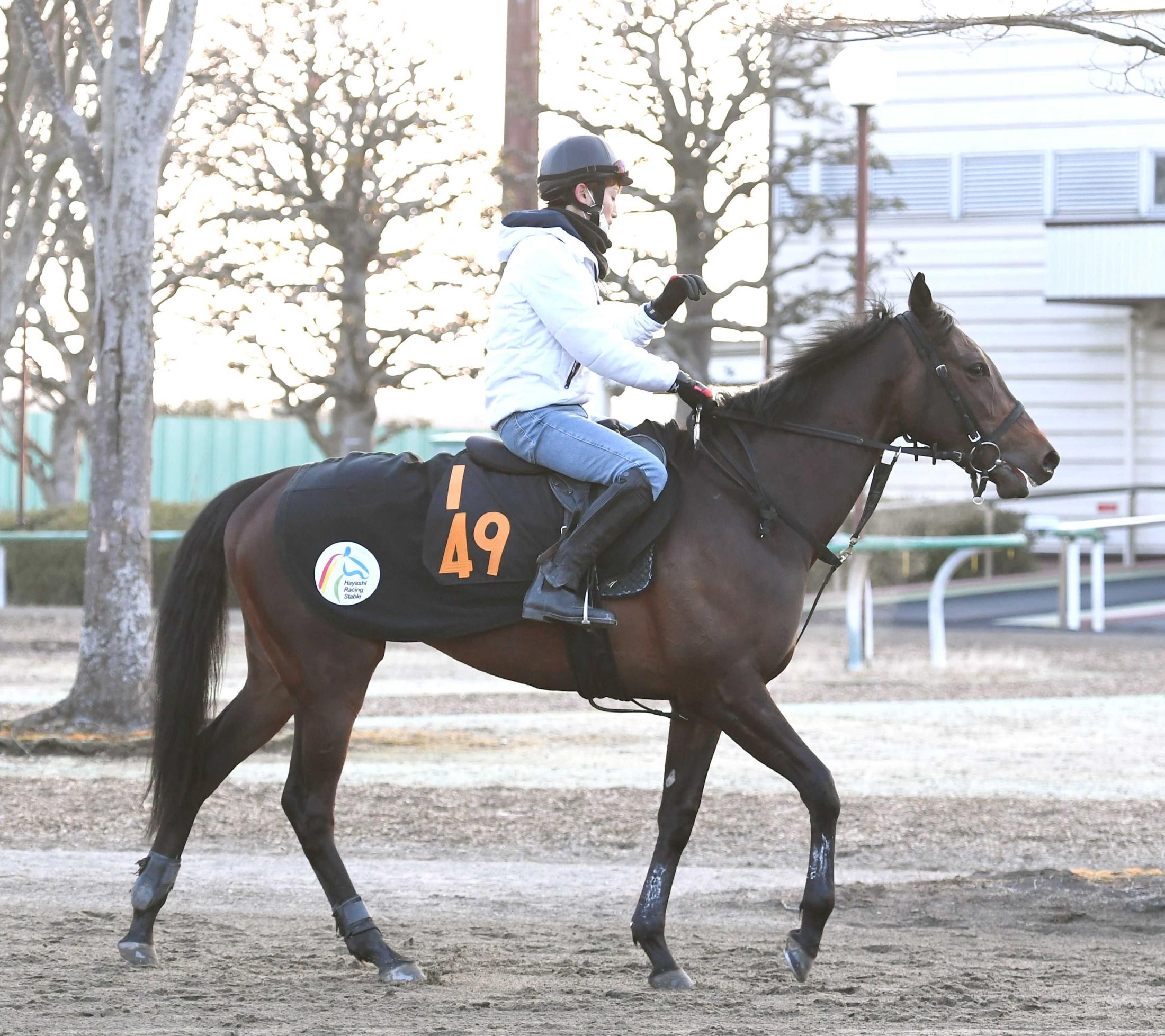 ジョッキーマスターズのdvdをプレゼント 競馬ニュース Netkeiba Com