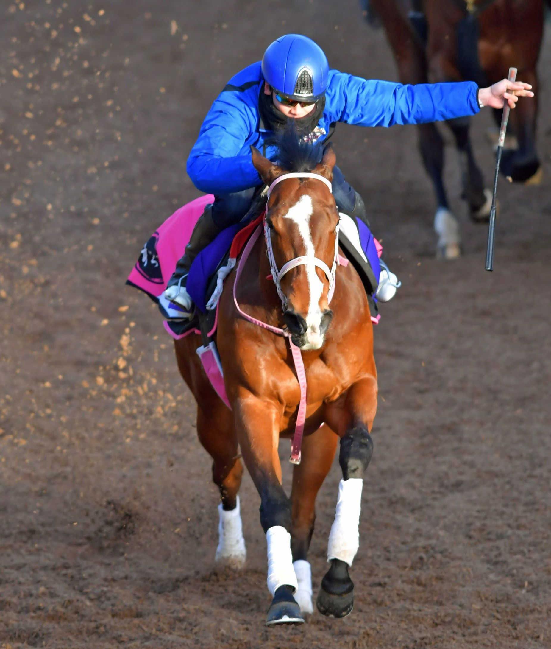 高松宮記念 レシステンシア 加速力抜群 初コンタクト横山武は好感触 想像以上 競馬ニュース Netkeiba Com