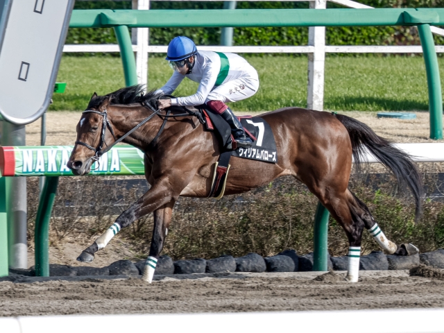 韓国馬事会杯 中山 ウィリアムバローズが人気に応えて逃げ切り勝ち 競馬ニュース Netkeiba Com