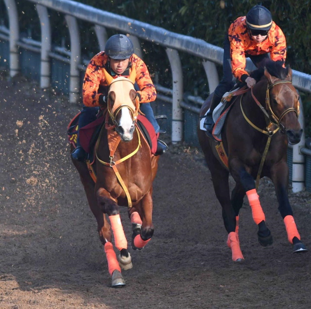 桜花賞 ナミュール上積みアリ 高野師 心肺機能は一つ上のレベルに 競馬ニュース Netkeiba Com