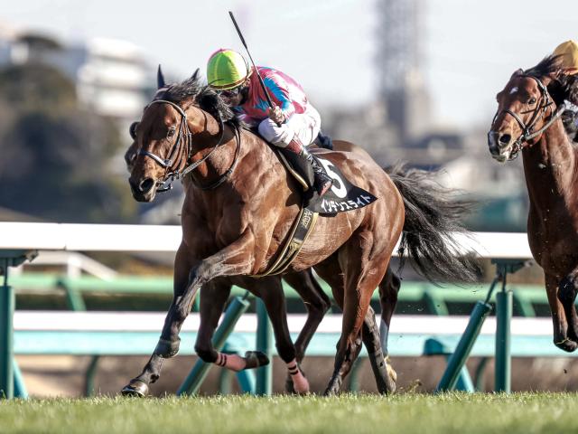 ダービー卿ct予想 過去10年で4 5番人気馬が6勝 中波乱傾向の一戦 競馬ニュース Netkeiba Com