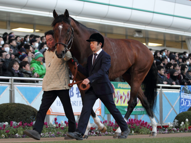 豪g1 3勝のヒトツがジャパンカップ参戦の可能性 父は15年年度代表馬モーリス 競馬ニュース Netkeiba Com