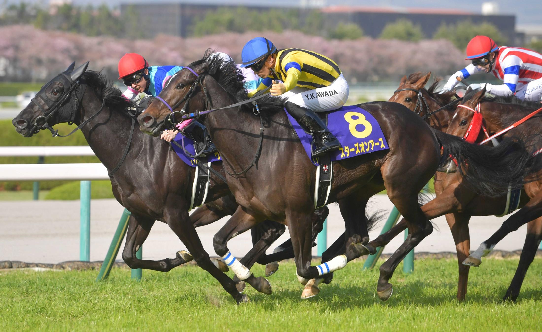 　ゴール寸前で差し切ったスターズオンアース（撮影・神子素慎一）　