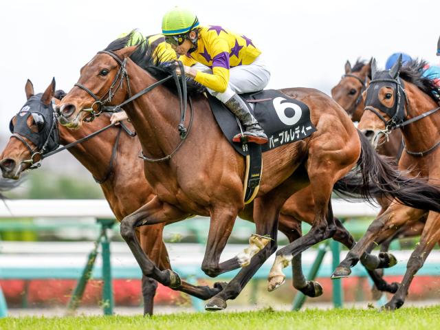【野島崎特別】(中山) 外から伸びたパープルレディーが3頭の接戦を制す