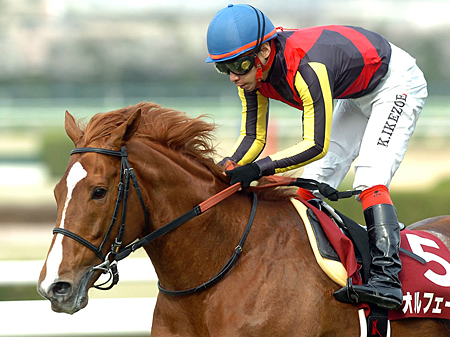 記録 記憶共に語り継がれる名馬オルフェーヴルのラストラン 有馬記念の見どころ 競馬ニュース Netkeiba Com