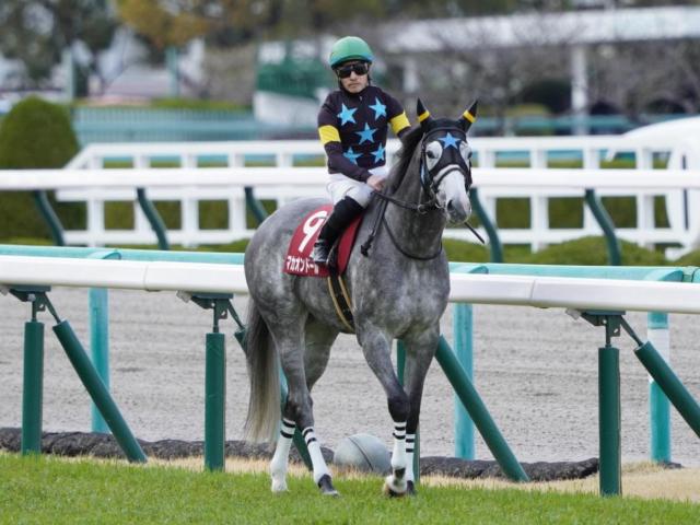 天皇賞 春予想 春の長距離gi 消耗戦を制すのはどの馬か 競馬ニュース Netkeiba Com