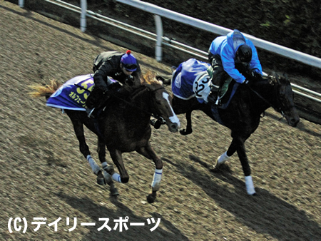 オルフェーヴルの追い切りを確認した池江師は 80点くらいかな 有馬記念 競馬ニュース Netkeiba Com