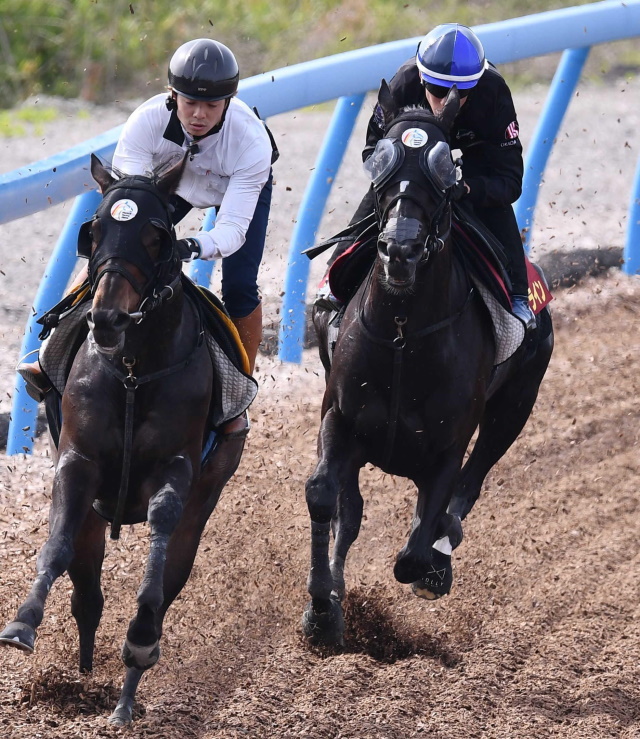 　ソングライン（右）は併せ馬で抜群の動きを披露した