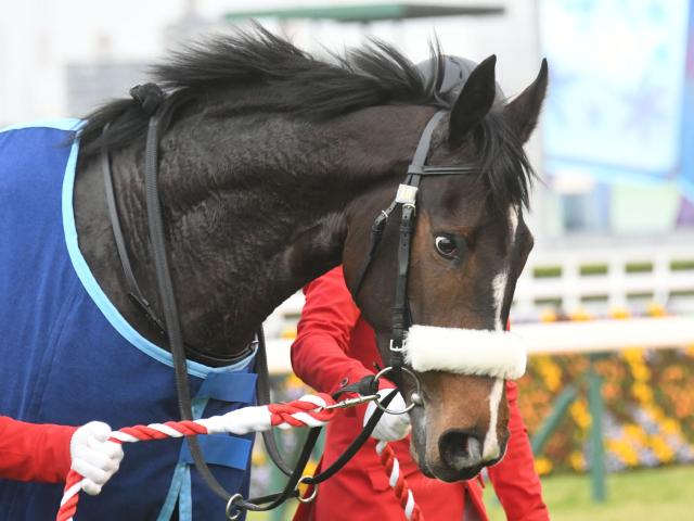 3歳女王決定戦オークス、帝王賞へのステップ・平安S/今週の競馬界の見どころ