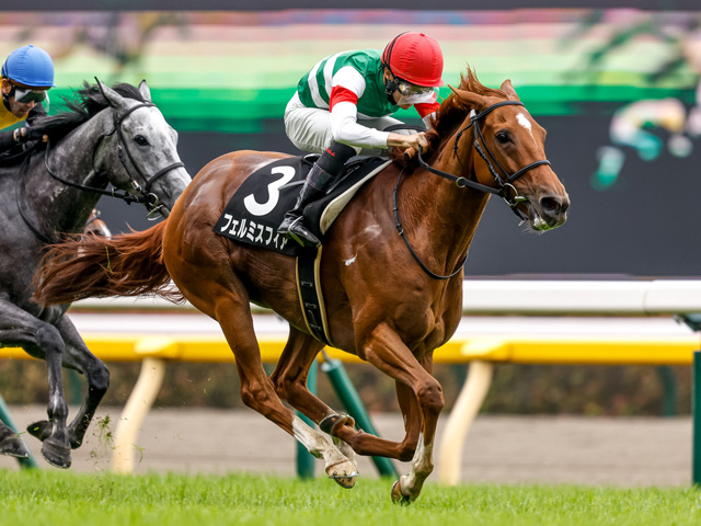 【高尾特別】(東京) 馬群の間から抜け出したフェルミスフィアが快勝