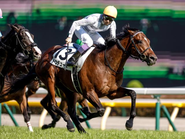 日本ダービーレース後コメント ドウデュース武豊騎手ら 競馬ニュース Netkeiba Com