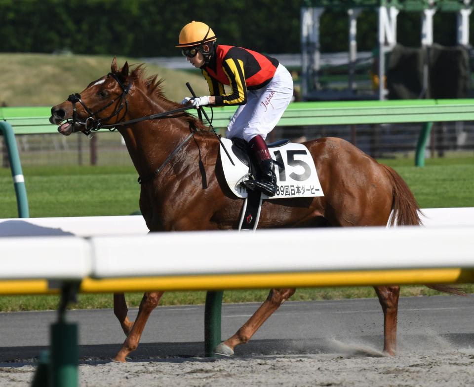 ジオグリフが骨折全治３カ月　「症状としてはごく軽く」手術せず治療の方針