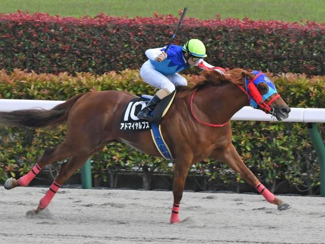 【アハルテケＳ】アドマイヤルプス３馬身半差完勝　ルメール「もっと上のクラスでやれる」