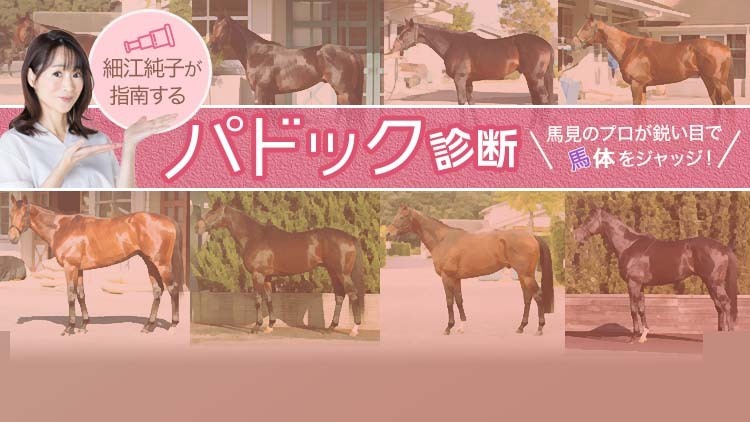 【桜花賞予想】細江純子さんが出走予定10頭の馬体を診断！