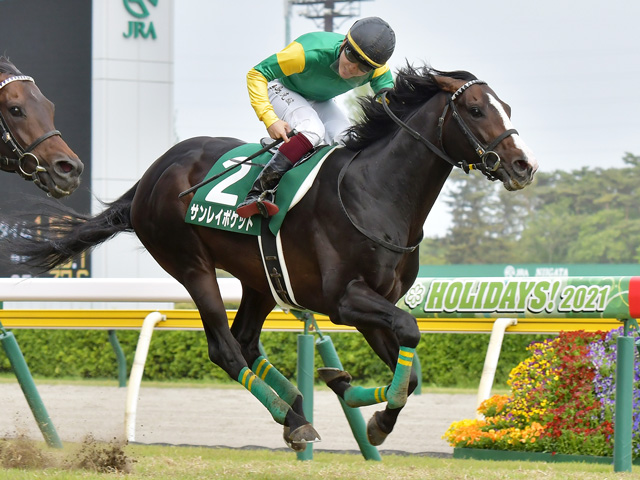 有力馬動向 サンレイポケット気迫十分の走りを披露 馬三郎のつぶやき 競馬ニュース Netkeiba Com